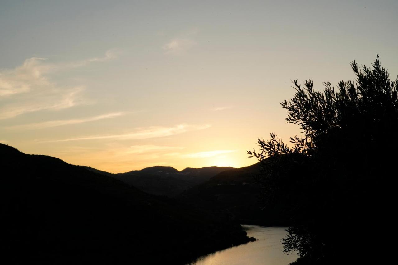 Quinta de S. Jose - Turismo Rural Ervedosa do Douro Exterior foto